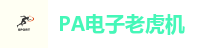 PA电子老虎机